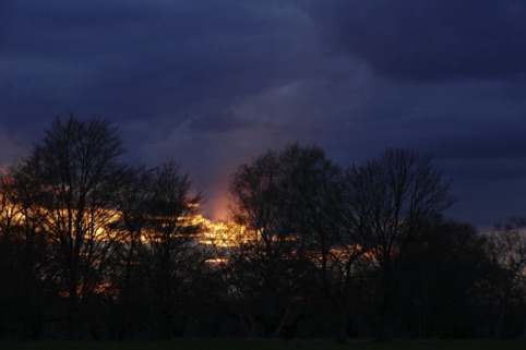 Richmond Park Cloudy Sunset